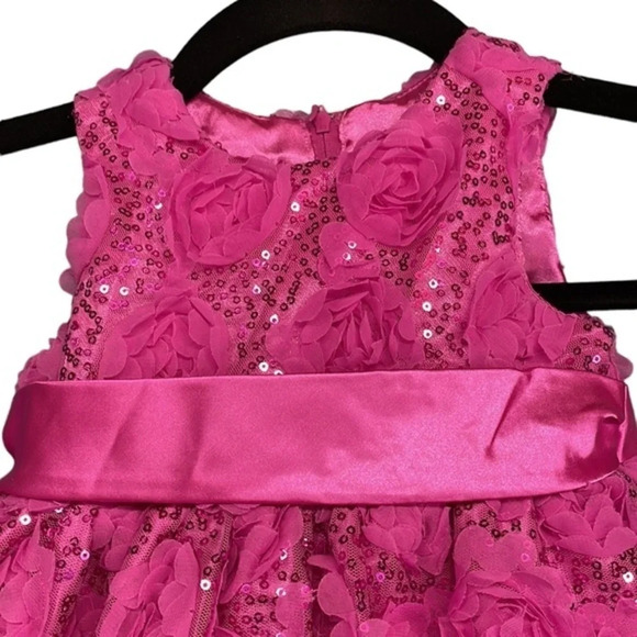 New American‎ Princess Hot Pink Floral Embellished Dress Size 12M - Picture 3 of 6